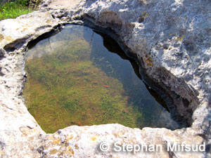 Pools in Gozo.