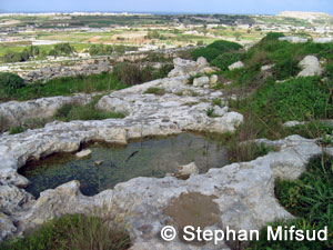 Pools in Naxxar.