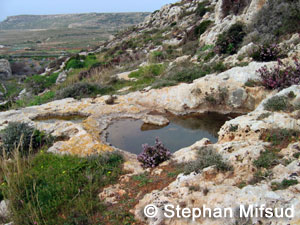 Pools in Mellieha.