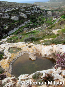 Pools in Mellieha.