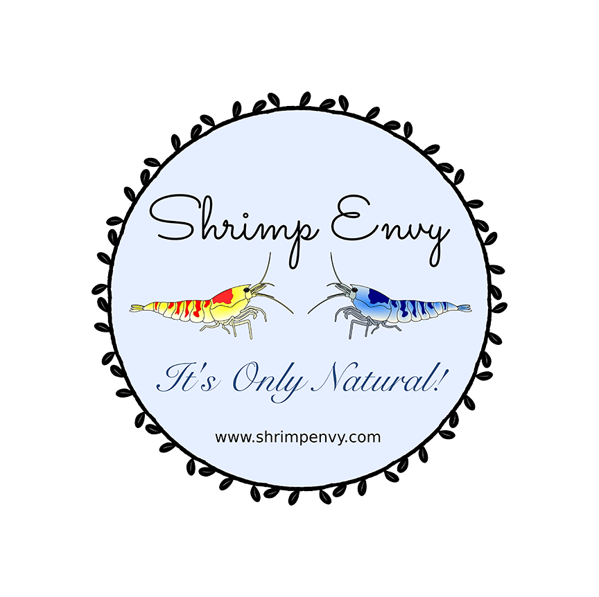 Shrimp Envy