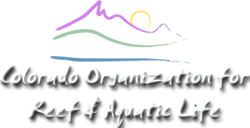 Colorado Organization for Reef and Aquatic Life